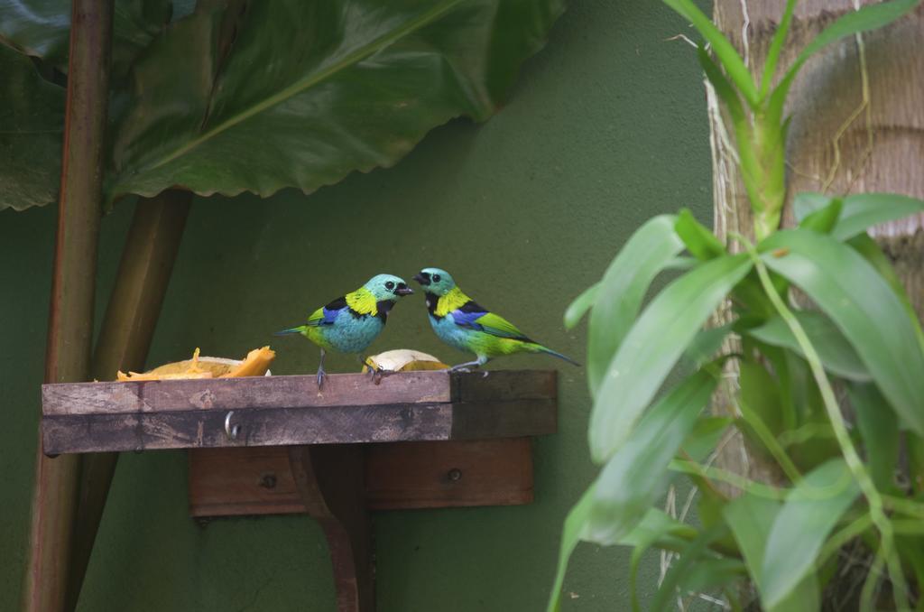 Pousada Refugio Tropical Araquari Exterior photo